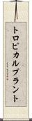 トロピカル・プラント Scroll