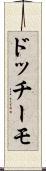 ドッチーモ Scroll