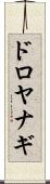 ドロヤナギ Scroll
