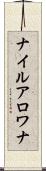 ナイル・アロワナ Scroll