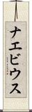 ナエビウス Scroll