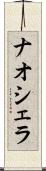 ナオシェラ Scroll