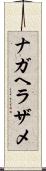 ナガヘラザメ Scroll