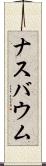 ナスバウム Scroll