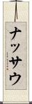ナッサウ Scroll