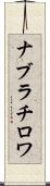 ナブラチロワ Scroll