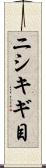 ニシキギ目 Scroll