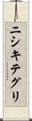 ニシキテグリ Scroll