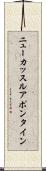 ニューカッスルアポンタイン Scroll