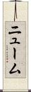 ニューム Scroll