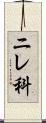 ニレ科 Scroll