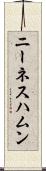 ニーネスハムン Scroll