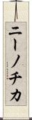 ニーノチカ Scroll