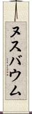 ヌスバウム Scroll