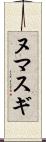 ヌマスギ Scroll