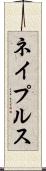 ネイプルス Scroll