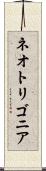 ネオトリゴニア Scroll