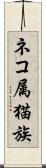 ネコ属 Scroll