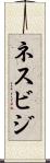 ネスビジ Scroll