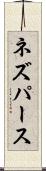 ネズパース Scroll