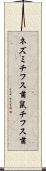 ネズミチフス菌 Scroll