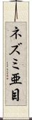 ネズミ亜目 Scroll