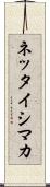 ネッタイシマカ Scroll