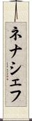 ネナシェフ Scroll