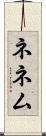 ネネム Scroll