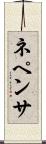 ネペンサ Scroll