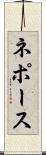 ネポース Scroll