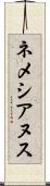 ネメシアヌス Scroll