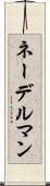 ネーデルマン Scroll