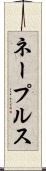 ネープルス Scroll