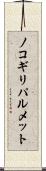 ノコギリパルメット Scroll