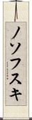 ノソフスキ Scroll