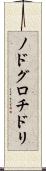 ノドグロチドリ Scroll