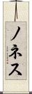 ノネス Scroll