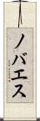 ノバエス Scroll