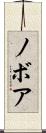 ノボア Scroll