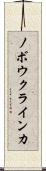ノボウクラインカ Scroll