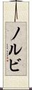 ノルビ Scroll