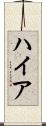 ハイア Scroll
