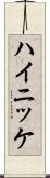 ハイニッケ Scroll