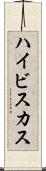 ハイビスカス Scroll