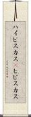 ハイビスカス(P) Scroll
