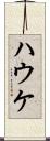 ハウケ Scroll