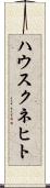 ハウスクネヒト Scroll