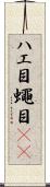 ハエ目 Scroll