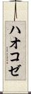 ハオコゼ Scroll
